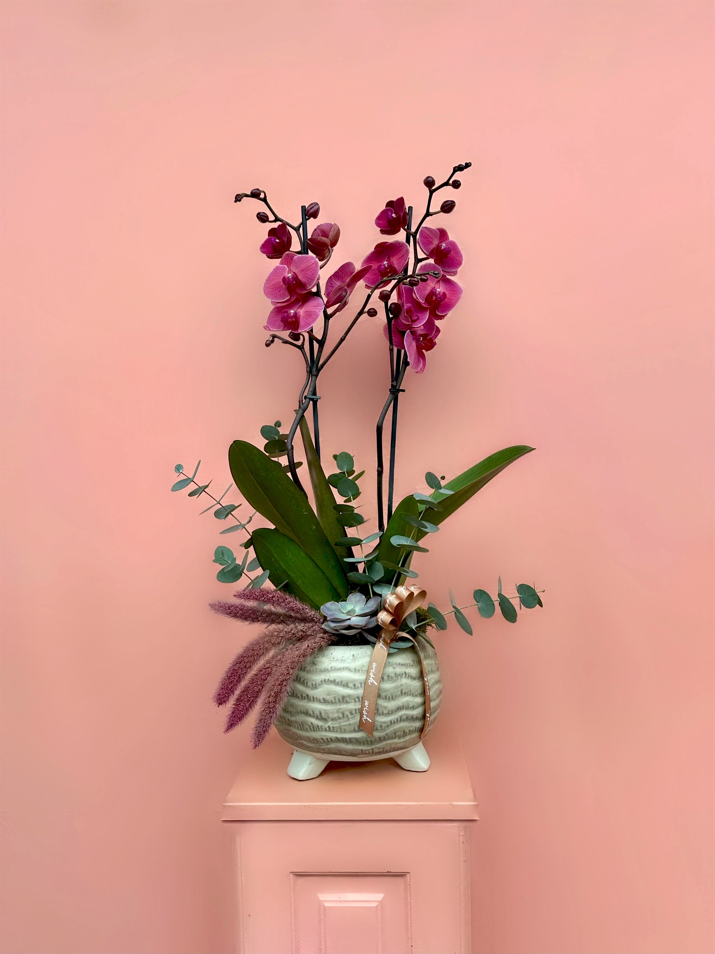 Kış Mevsimine Uygun En Dayanıklı Çiçekler