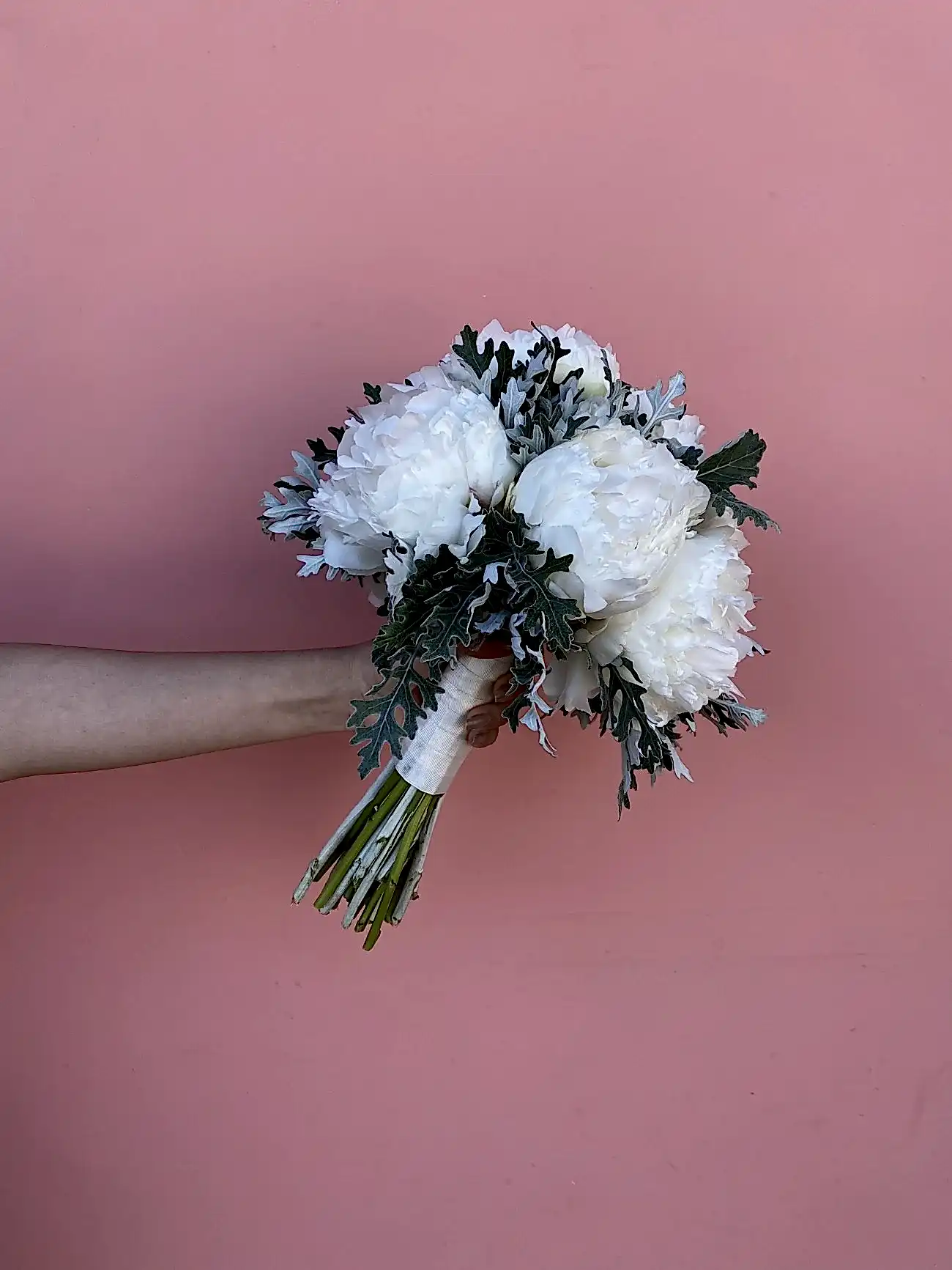 Beyaz Şakayık ve Dusty Miller Gelin Buketi & Damat Yaka Çiçeği