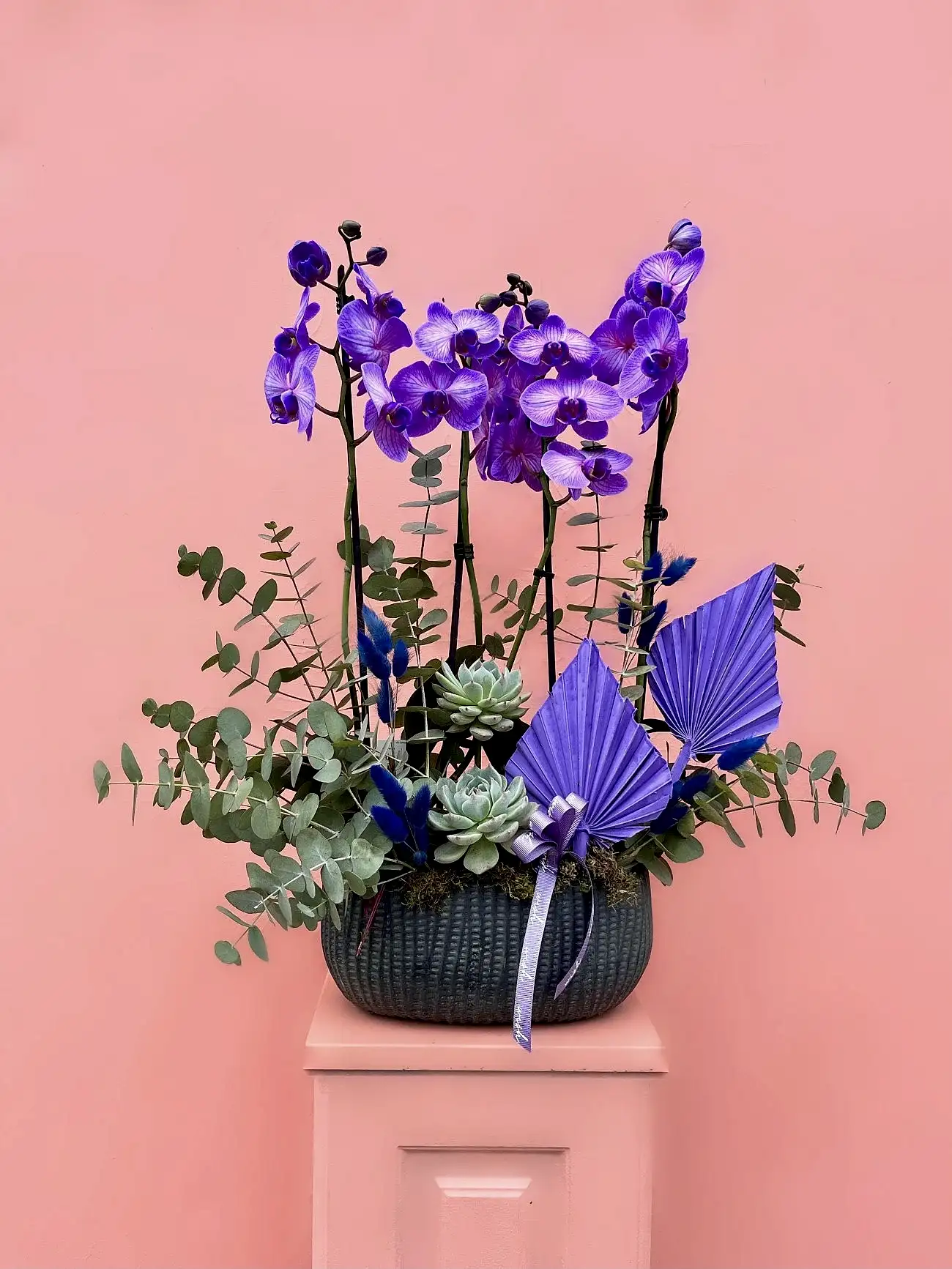 Özel Tür Wonder Purple Orkide Bahçesi