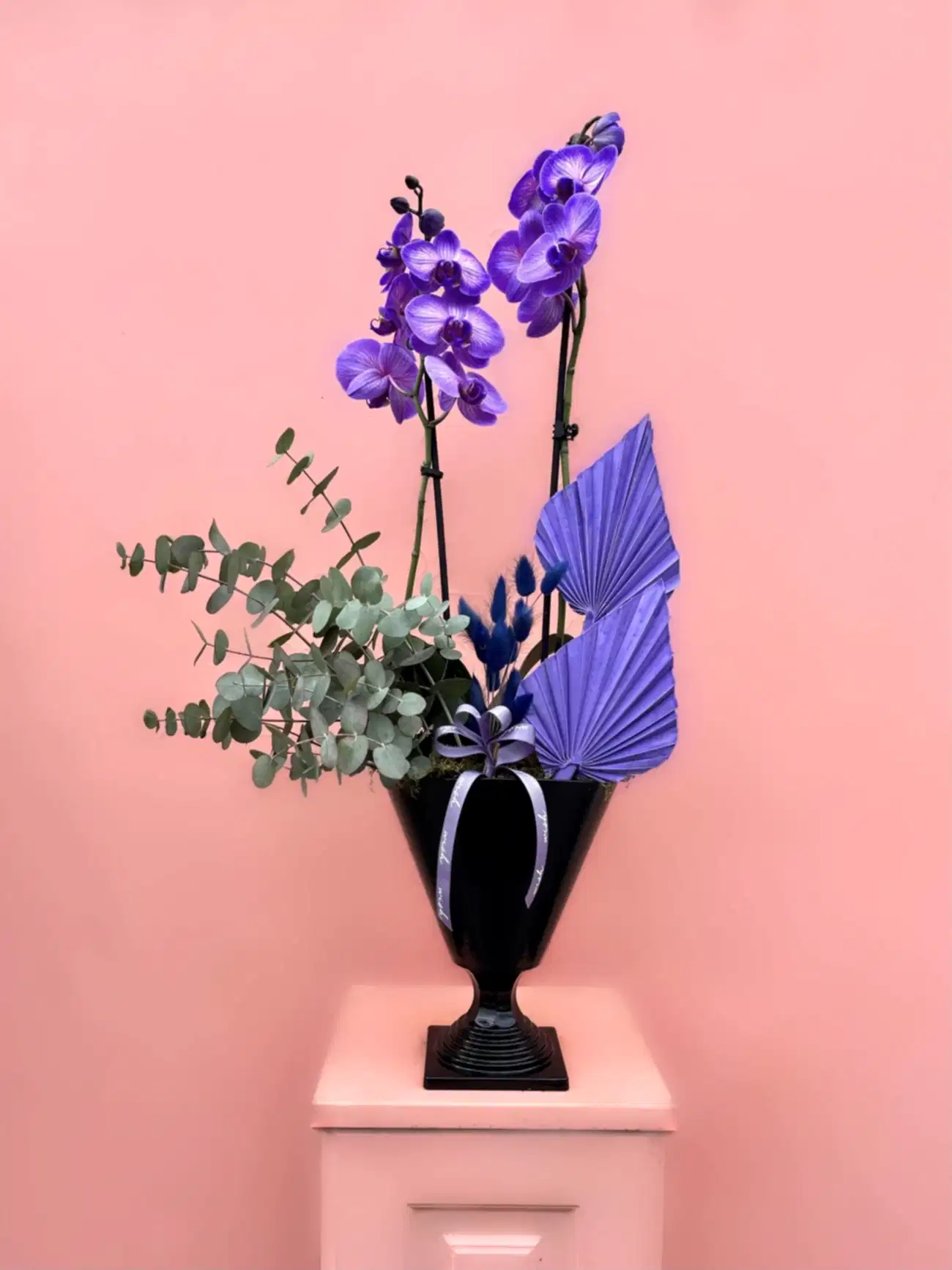 Özel Tür Wonder Purple Orkide