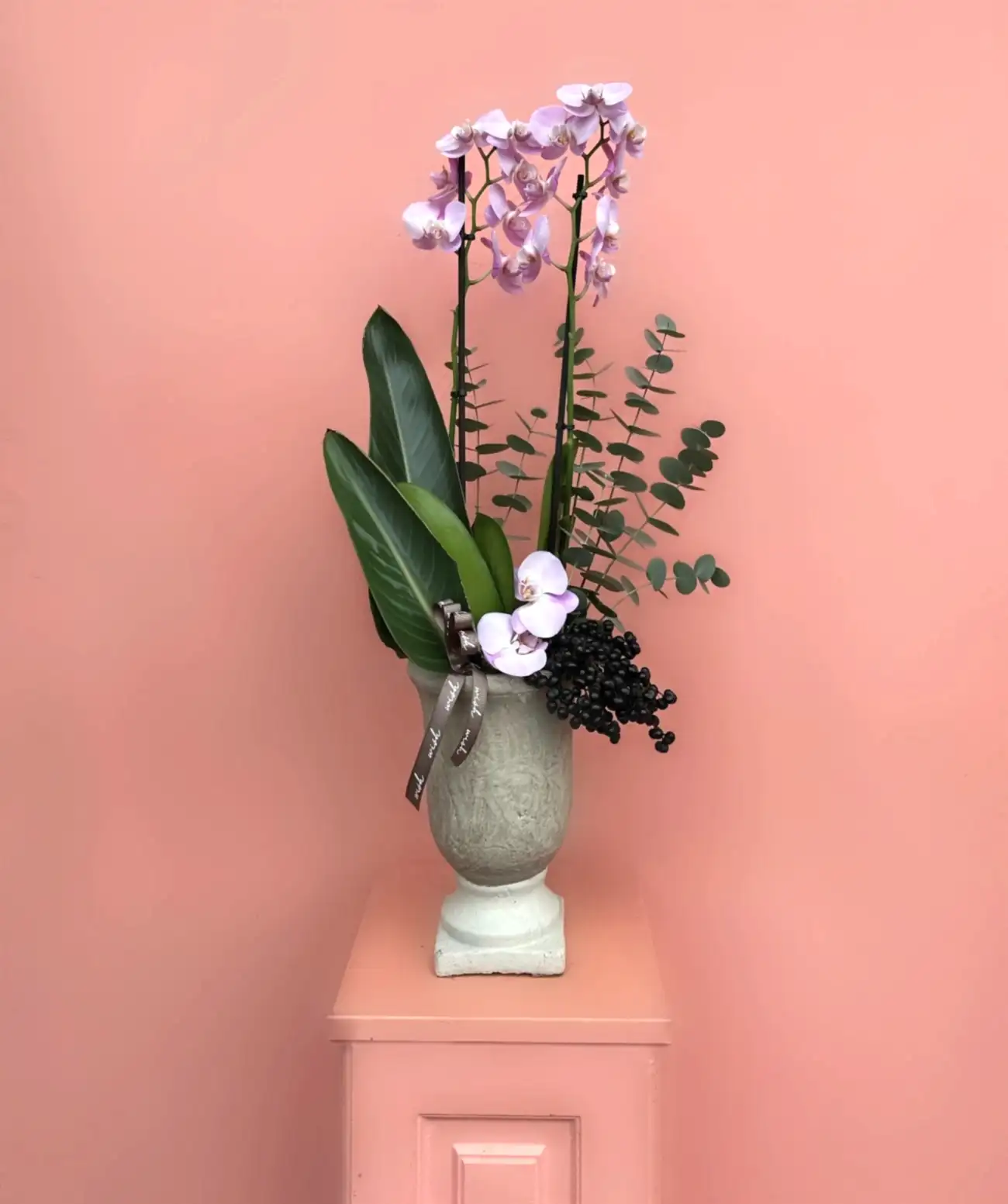 İki Renkli Özel Tür Orkide