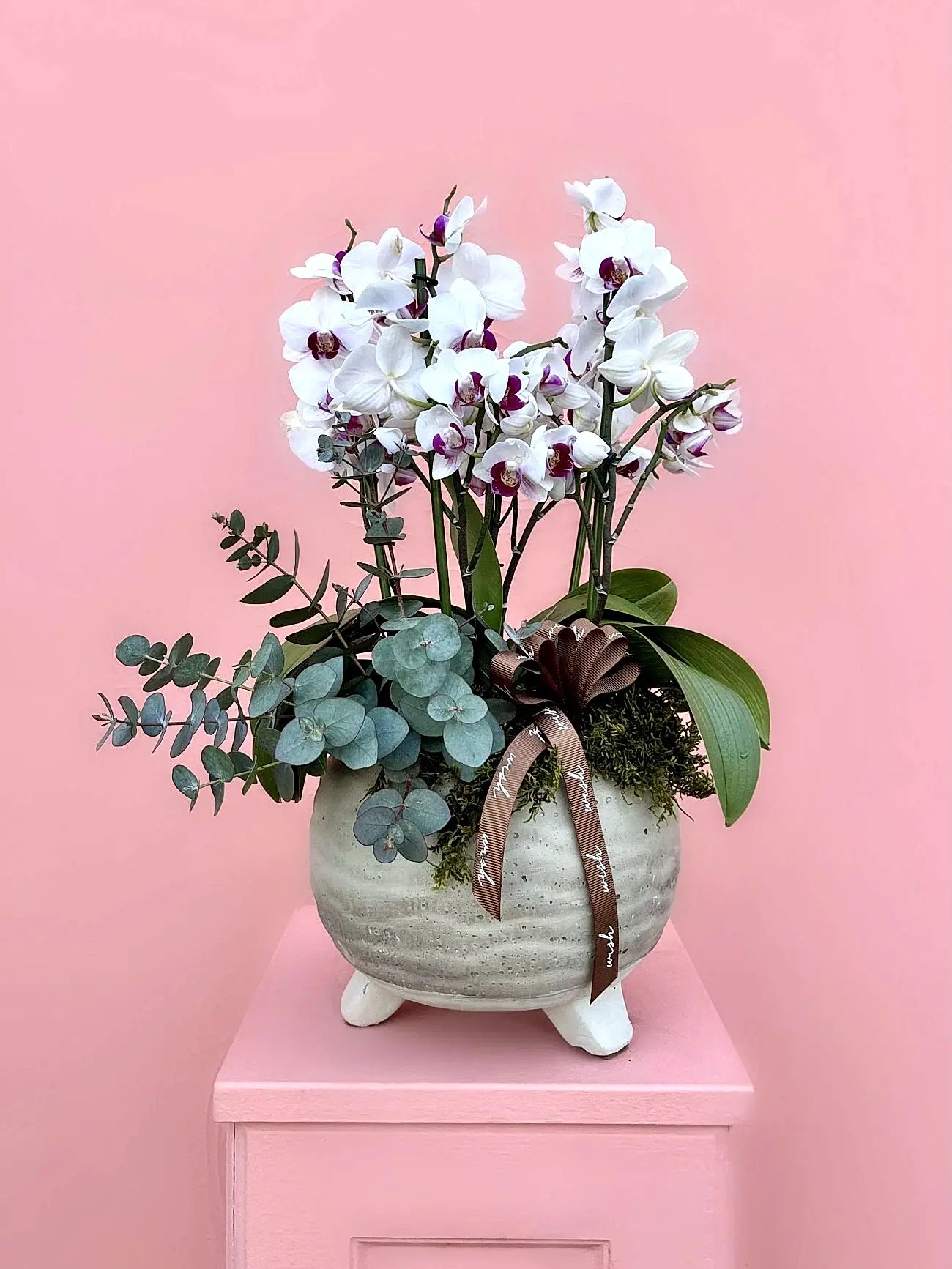 Midi Boy Çift Renkli Bougetto Orkide