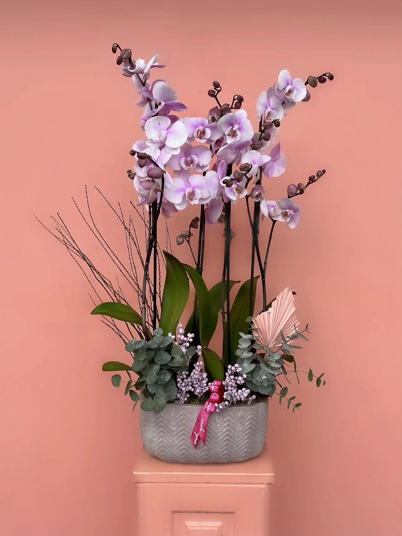 Özel Tür Orkide Bahçesi