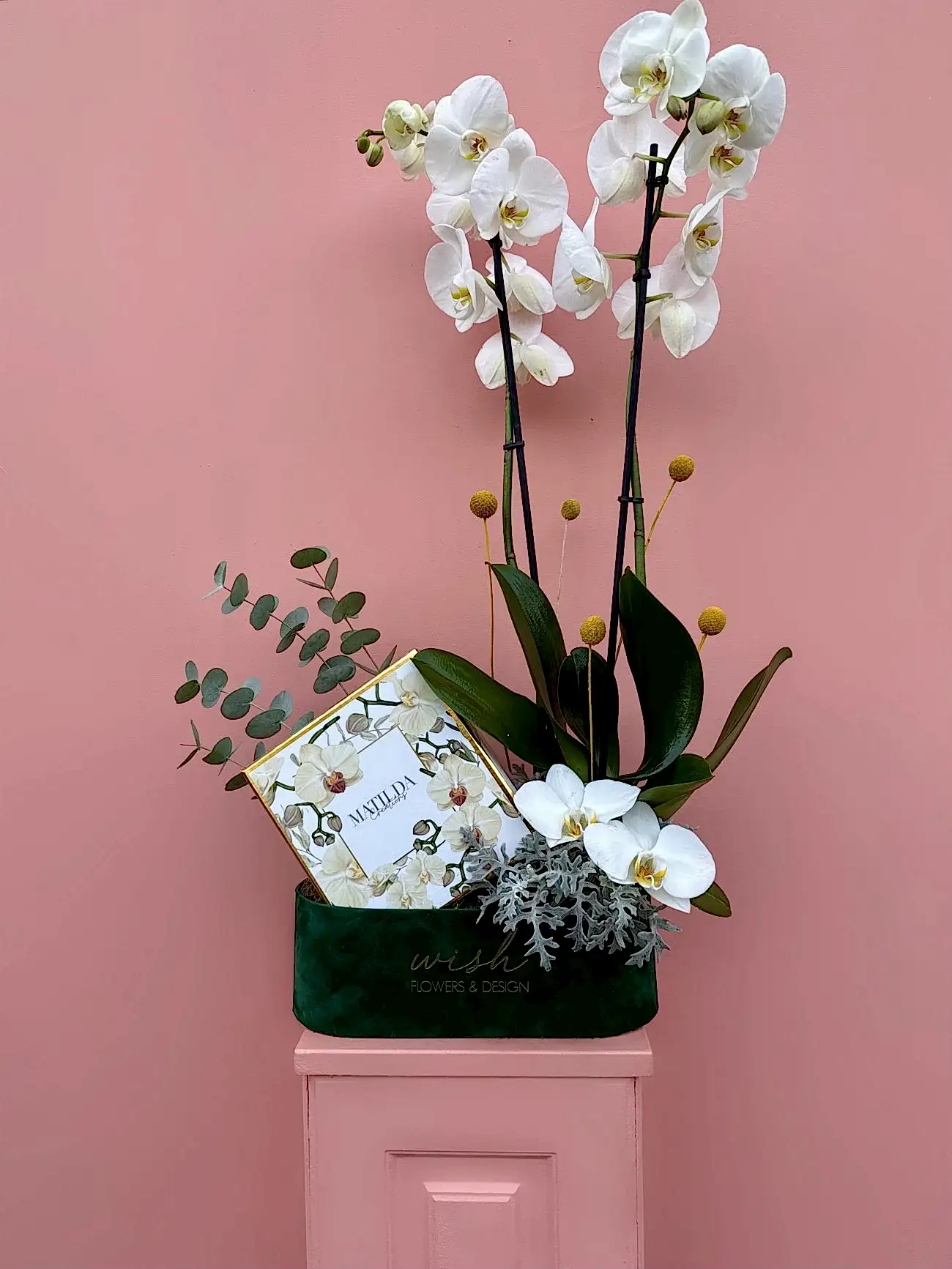 Yeşil Kadife Kutuda Makaron Ve Beyaz Orkide