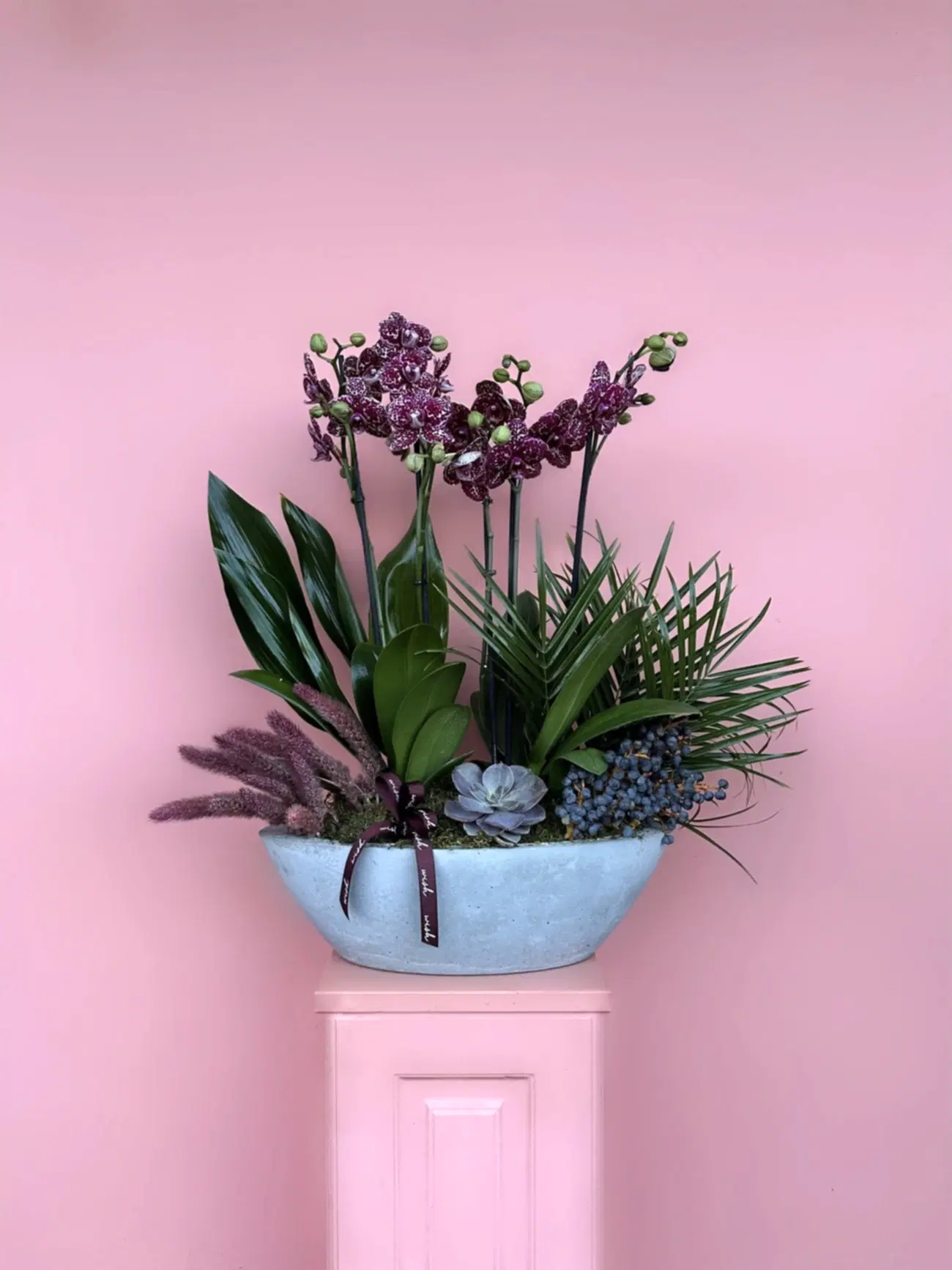 Gri Taş Vazoda Wild Cat Orkide Bahçesi