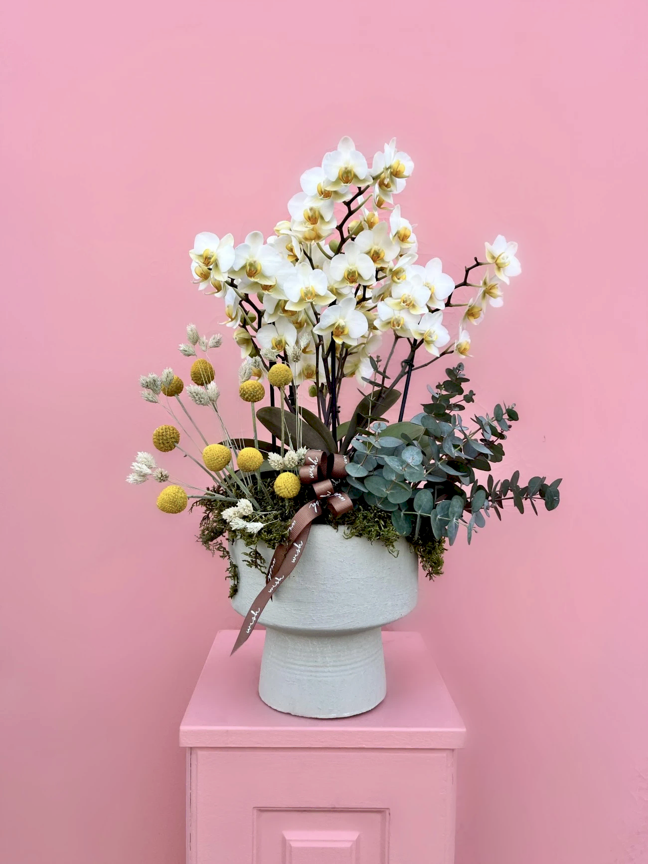 Midi Boy Beyaz Bougetto Orkide