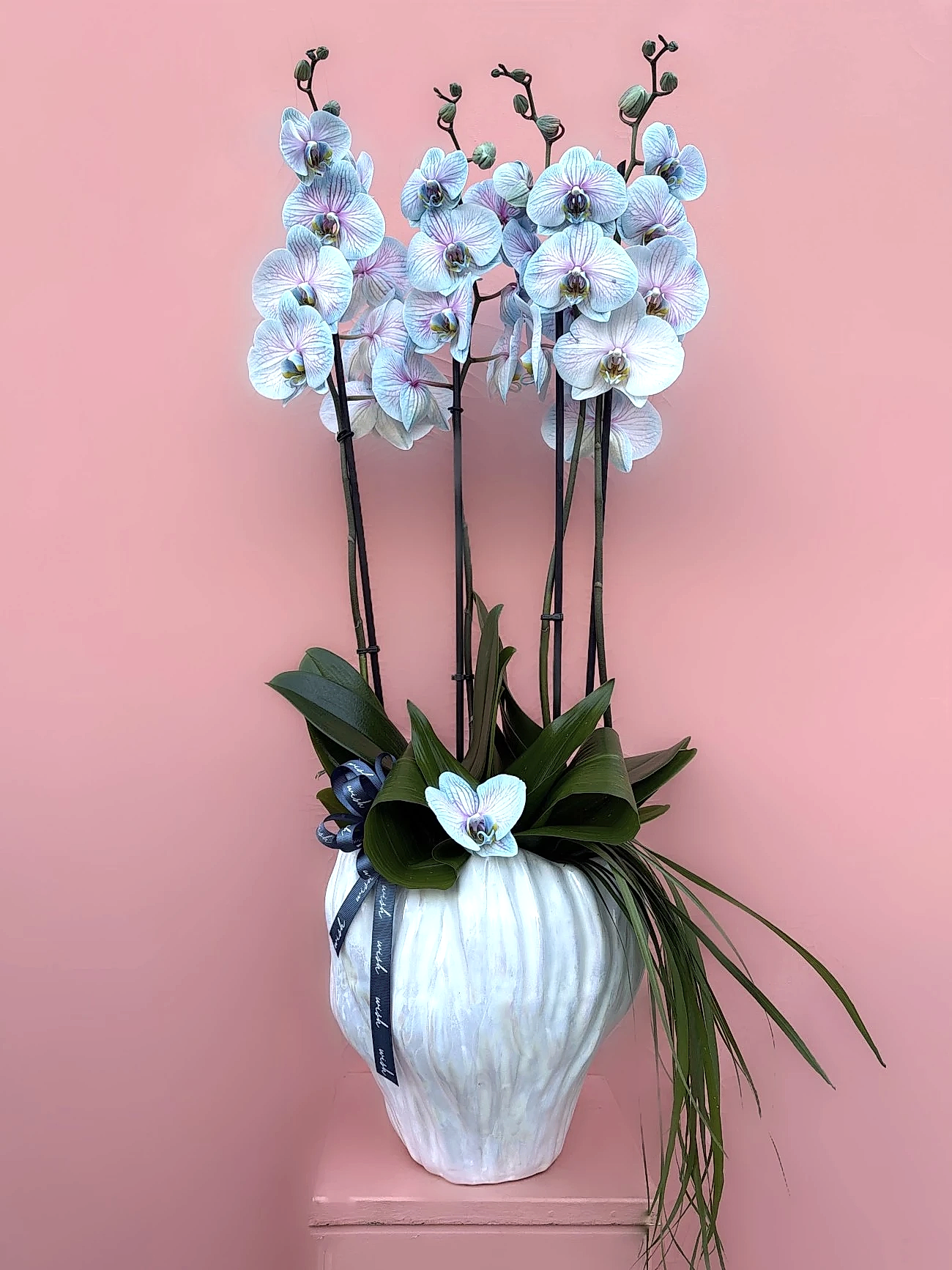 Tasarım Vazoda Rainbow Orkide Bahçesi