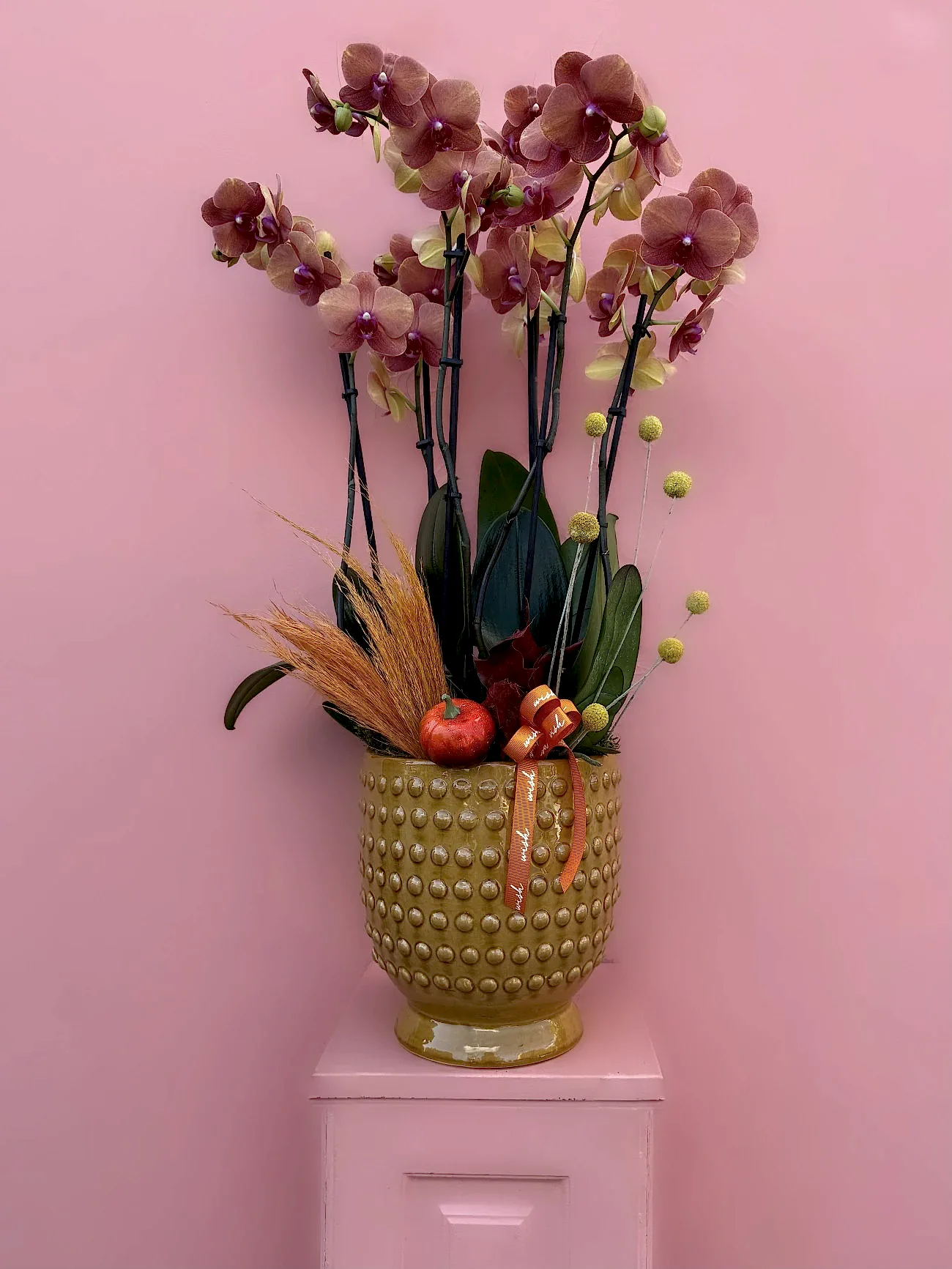 Özel Seramik Vazoda 6 Dallı Surf Song Orkide Bahçesi