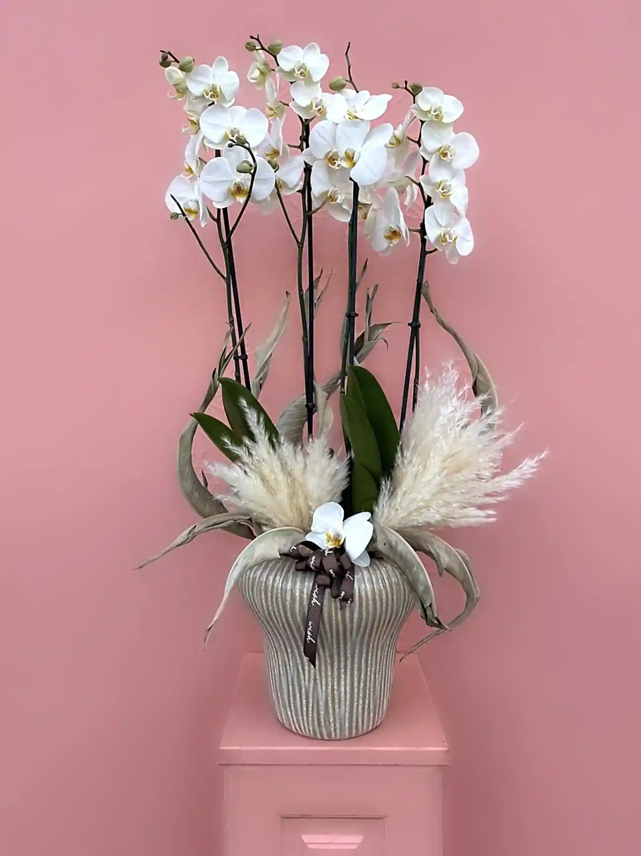 Özel Seramik Vazoda 4 Dallı Orkide Bahçesi