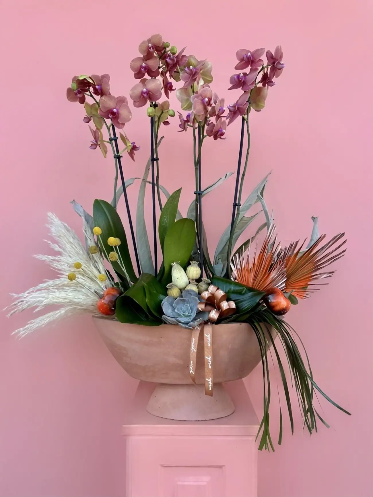 Özel Tür Turuncu Surf Song Orkide Bahçesi