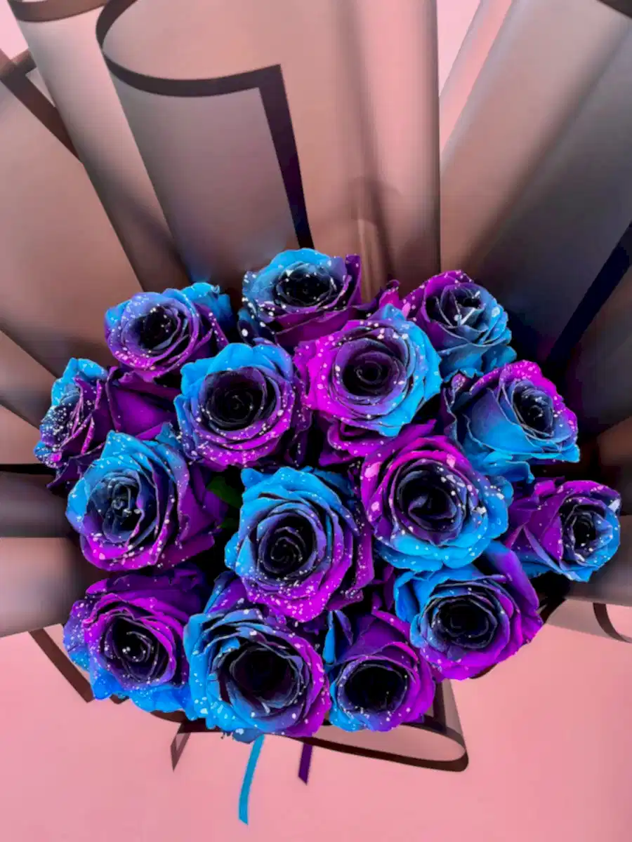 Galactic Roses Özel Ekvator Gülleri