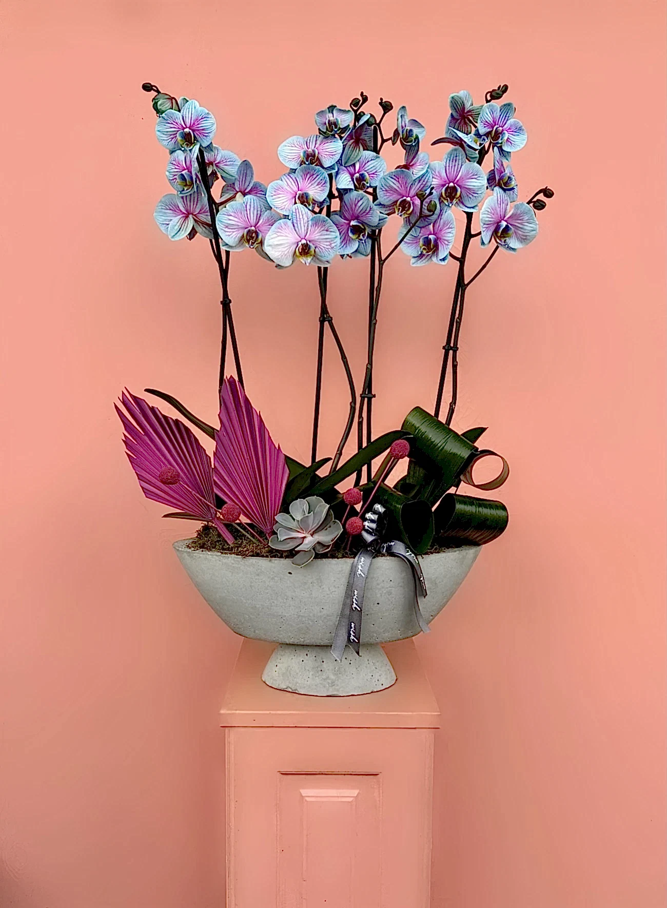 Özel Tür Rainbow Orkide Bahçesi