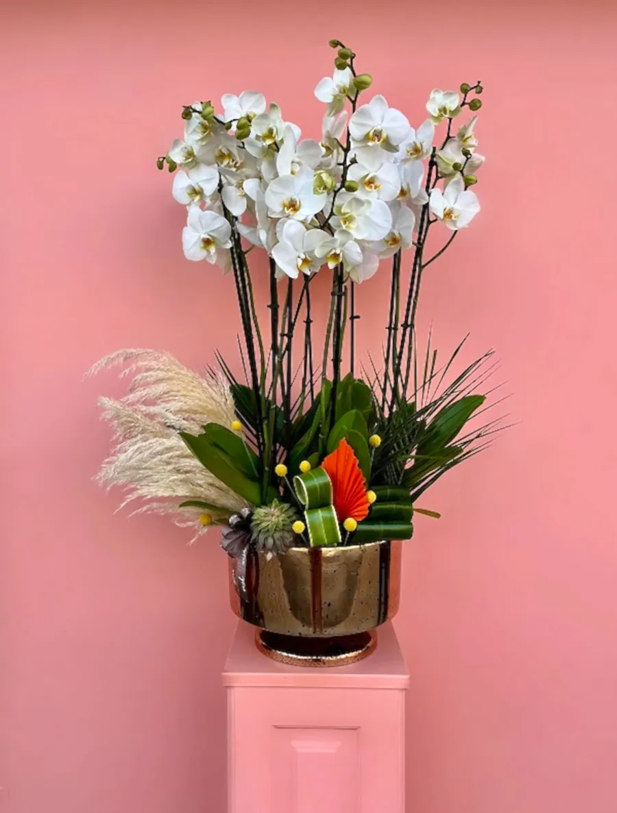 Özel Tasarım Lüks Beyaz Orkide Bahçesi