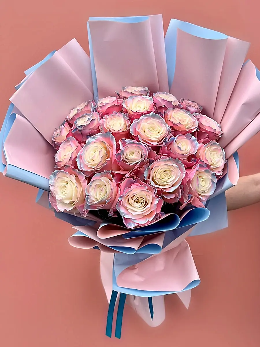 Pearl Aurora Özel Ekvator Gülleri