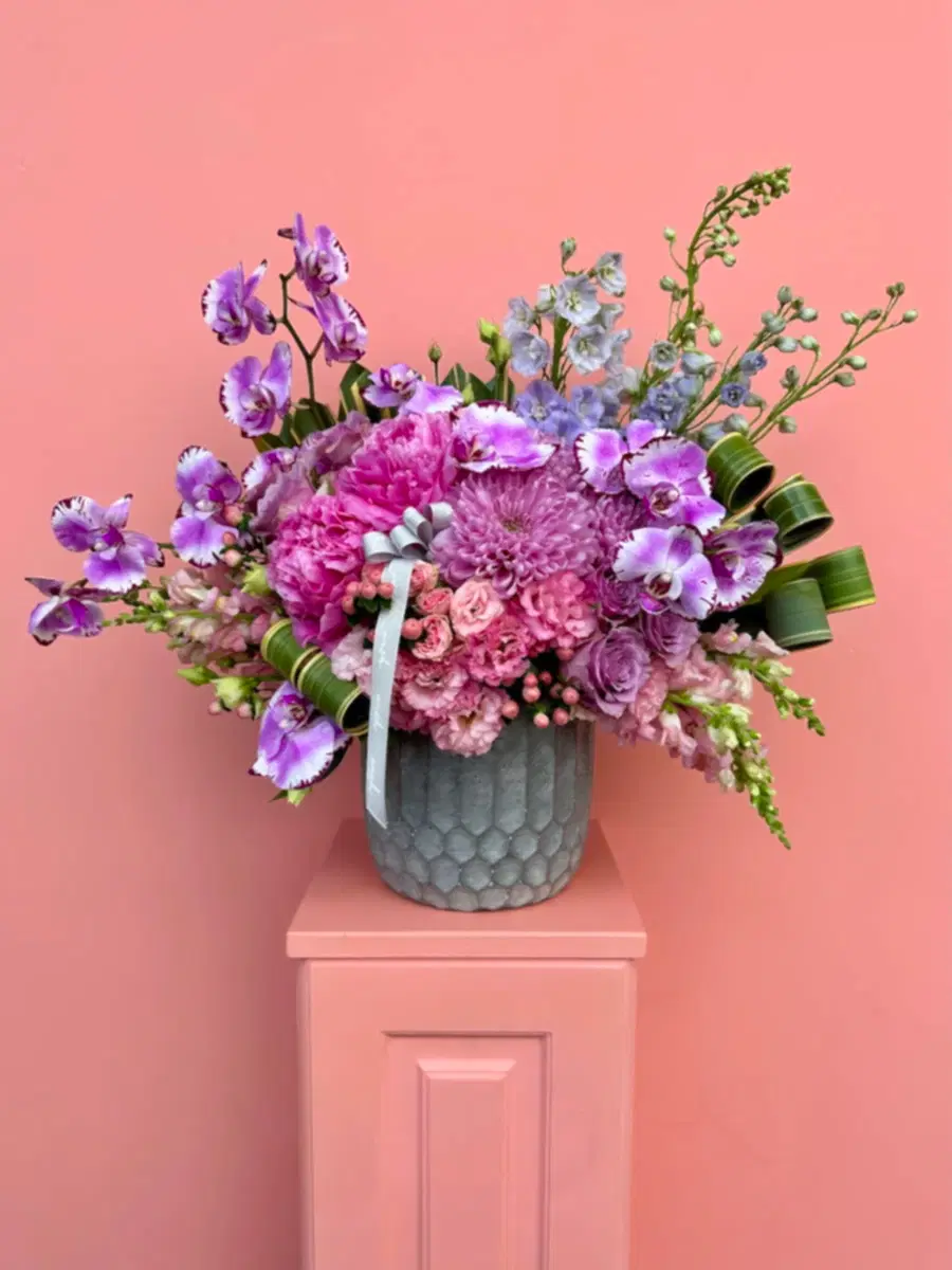 Vanessa Lüks Aranjman